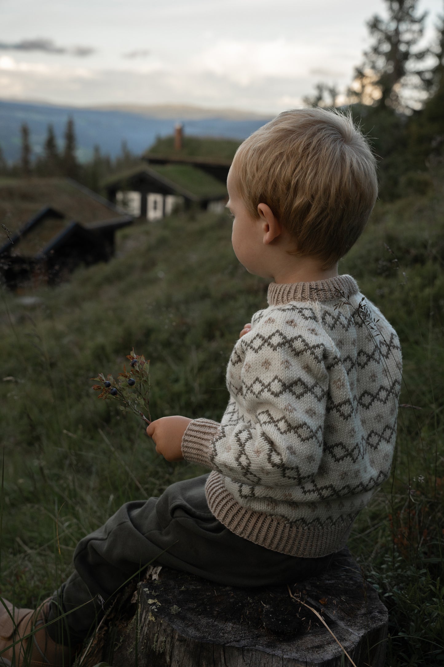 KlatreVen Trøje